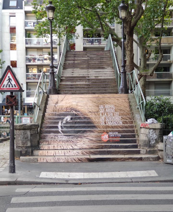 108109270 144990373908590 4926538435014205971 N