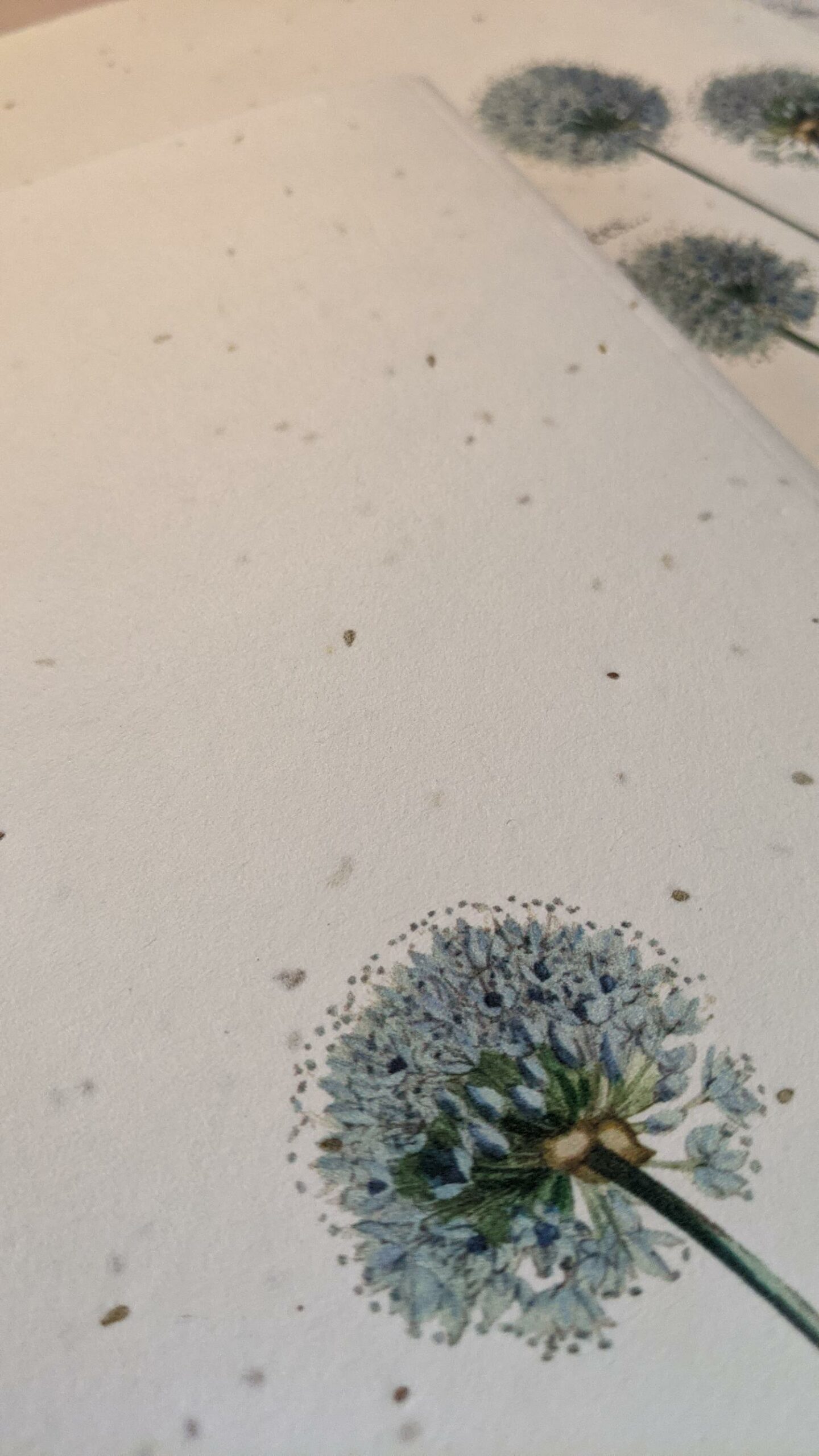 Pxl 20210901 081920248