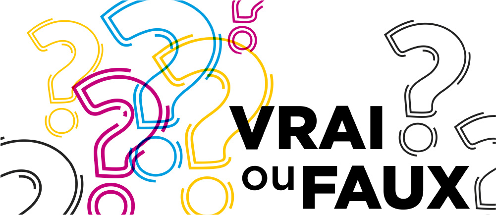 Vrai Ou Faux Miniature 80