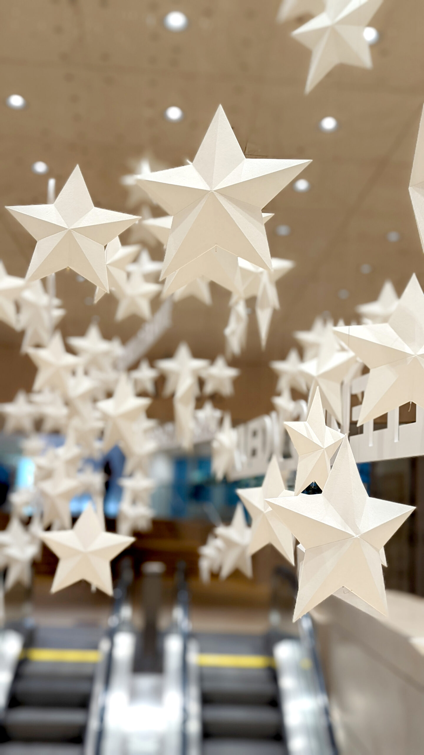 pxl 20211215 153215869.portrait retouche